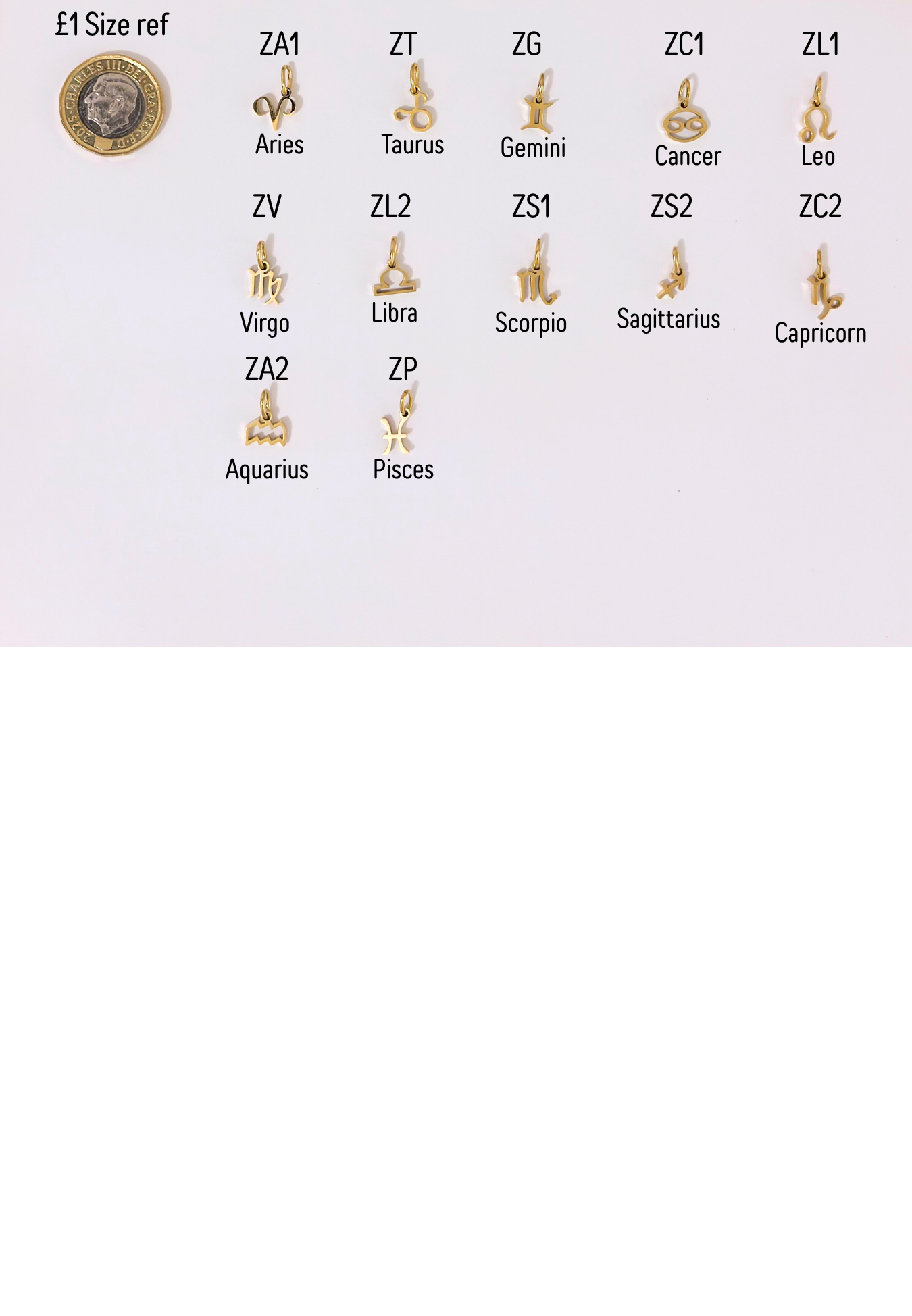 Zodiac signs charms